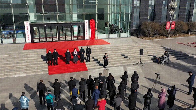 媒介投放流程解析：优缺点与关键要点**